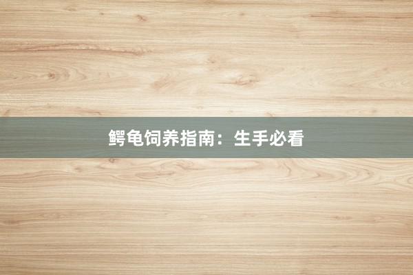 鳄龟饲养指南：生手必看