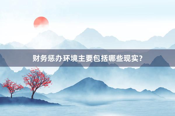 财务惩办环境主要包括哪些现实？